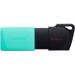 Флэш накопитель Kingston Exodia M 256GB (DTXM/256GB)