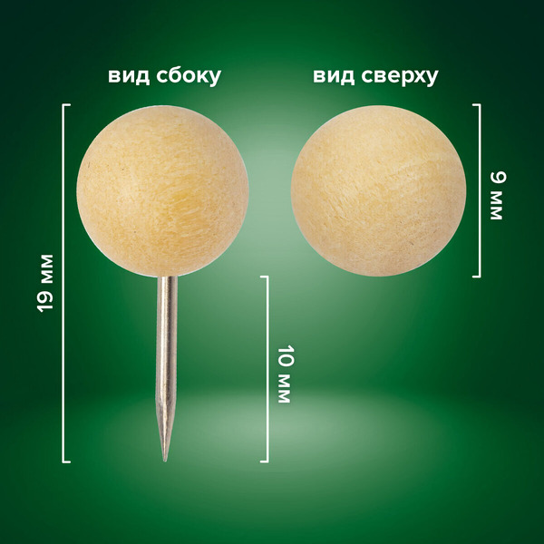 Силовые кнопки-гвоздики BRAUBERG 272761 (50 шт.)