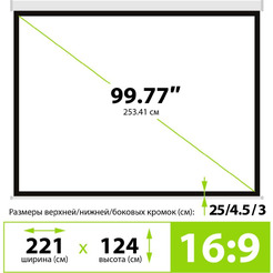 Проекционный экран CACTUS Wallscreen CS-PSW-124x221