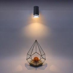 Накладной светильник WOLTA WSL-GU10/02BL