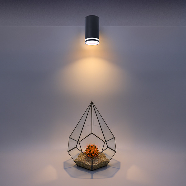 Накладной светильник WOLTA WSL-GU10/02BL