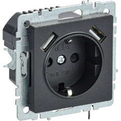 Розетка IEK BRITE BR-R14-16-U21-D31-K46