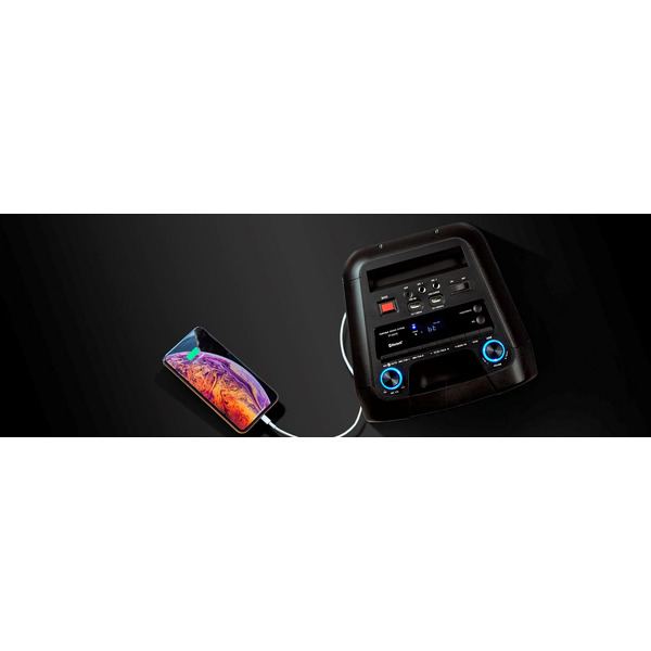 Колонка для вечеринок Toshiba TY-ASC66