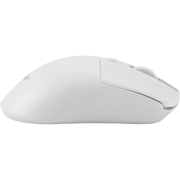 Мышь Acer OMR501 (белый)