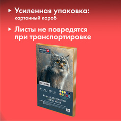 Бумага для пастели BRAUBERG ART 117768