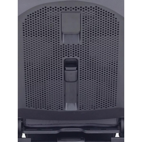 Детская универсальная коляска Rant Flex Pro 2 в 1 2023 RA074 (черный)