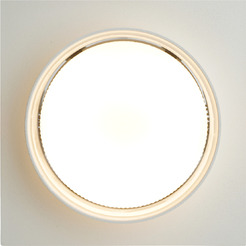 Светильник Feron DL501 51087