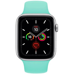 Ремешок Bingo Silicone для APPLE Watch 38/40/41mm (S) Мята