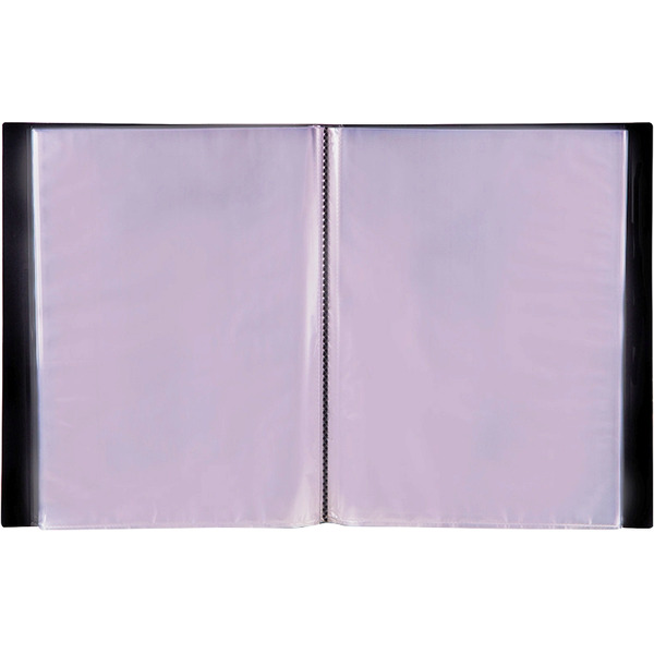 Папка с 20 вкладышами BERLINGO "Standard", А4 (MT2429)