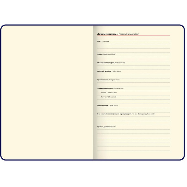 Ежедневник BRAUBERG 116234