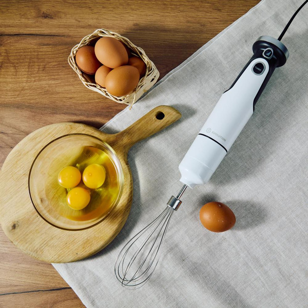 Погружной блендер 5 в 1 EVOLUTION HBS-0651 (белый)