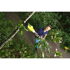 Сучкорез Ryobi RY18PLA-0 (5133004575) без АКБ и ЗУ