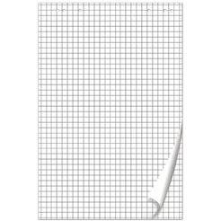 Блокнот для флипчарта BRAUBERG 128647