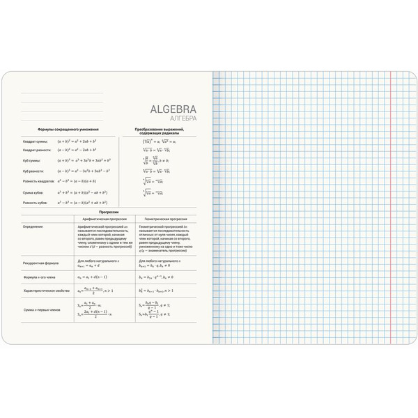 Тетради предметные BRAUBERG 404840 (КОМПЛЕКТ 12 ПРЕДМЕТОВ, 48л, покрытие твин-лак)
