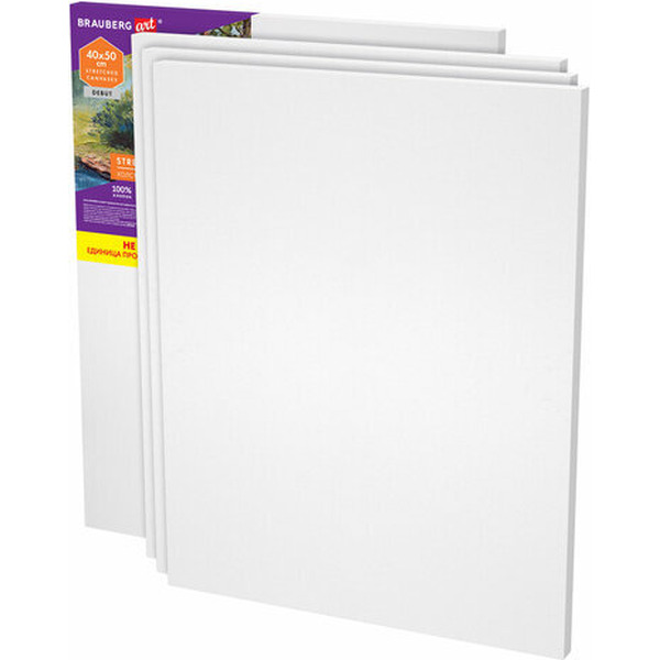 Холст для рисования BRAUBERG Art Debut 192512 (4шт)
