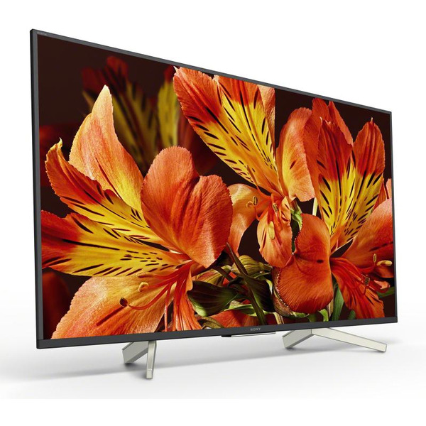 Телевизор SONY BRAVIA KD-49XF8596