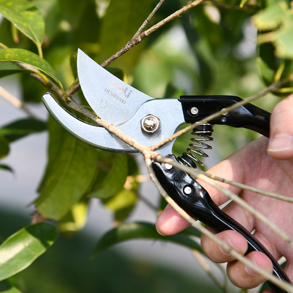 Секатор Deli EDL580200