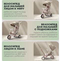 Детский велосипед Bubago Malanka BG 211-2 (коричневый)