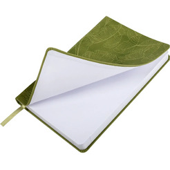 Ежедневник Brauberg 117128 (зеленый)