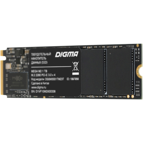 SSD Digma Mega M2 1TB DGSM3001TM23T