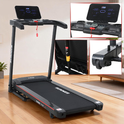 Беговая дорожка Alpin Runner T-179