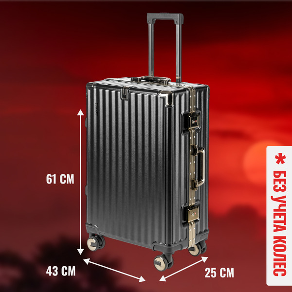 Чемодан DoubleW E087# (M,черный)