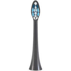 Сменная насадка Polaris TBH 0301 M (2 шт, графитовый)