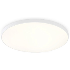 Светильник Ambrella FZ1222