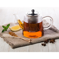 Заварочный чайник Taller Эрилл TR-31375