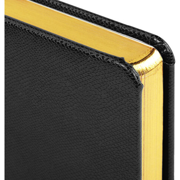 Ежедневник недатированный BRAUBERG Iguana 125089