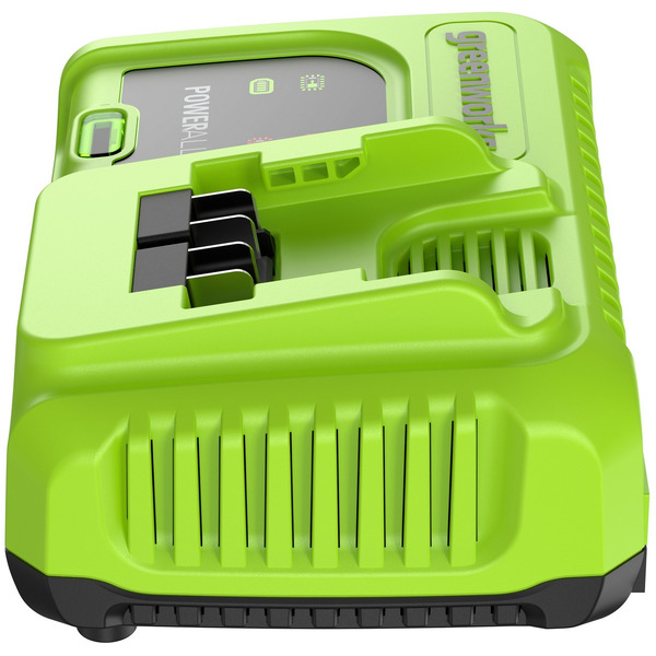 Зарядное устройство Greenworks G24C8 2958707 (24В)
