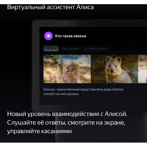 Умная колонка Яндекс Станция Дуо Макс (YNDX-00055BLK) черный