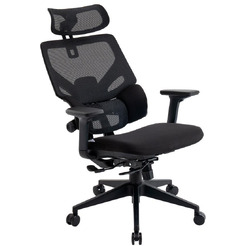 Кресло компьютерное EVOLUTION LumbarPro