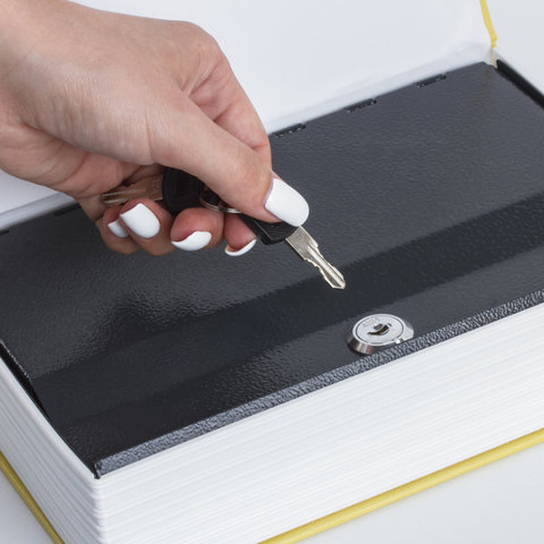 Сейф-книга BRAUBERG 12 стульев 291058