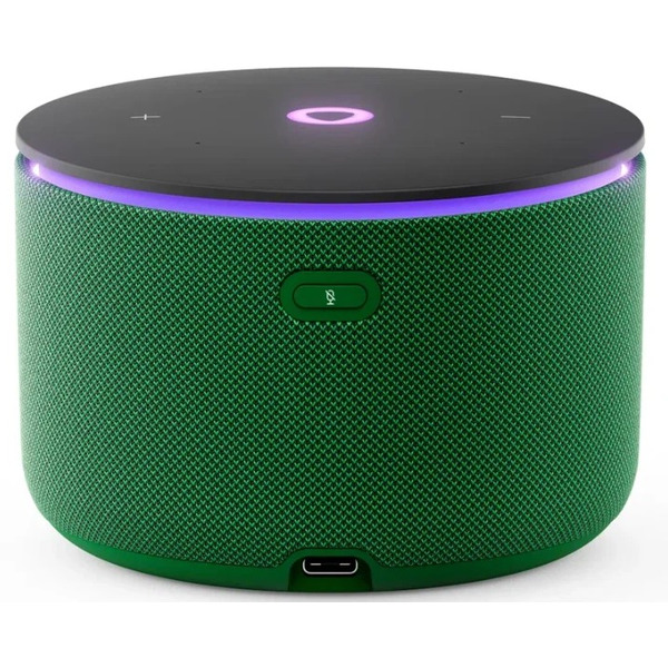Умная колонка Яндекс.Станция Мини 3 Про (YNDX-00059GRN) зеленый