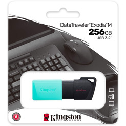 Флэш накопитель Kingston Exodia M 256GB (DTXM/256GB)