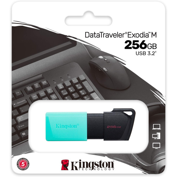 Флэш накопитель Kingston Exodia M 256GB (DTXM/256GB)