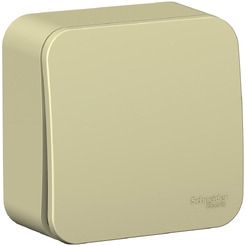 Выключатель Systeme Electric BLANCA BLNVA101017