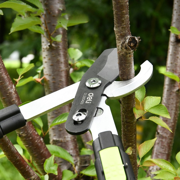 Сучкорез Deli EDL580423