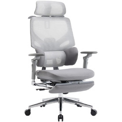 Кресло компьютерное EVOLUTION LumbarPro Elite (серый)