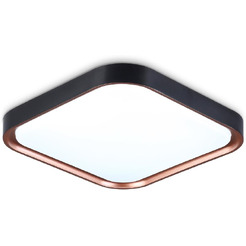 Потолочный светодиодный светильник Ambrella Light FZ1265 BK/PGD