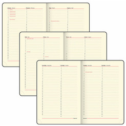 Ежедневник BRAUBERG недатированный Iguana 114451 (синий)