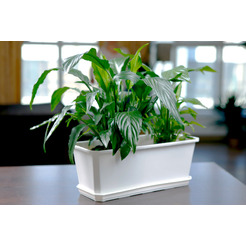 Ящик балконный  IDILAND Basil 221600629/01 (белый)