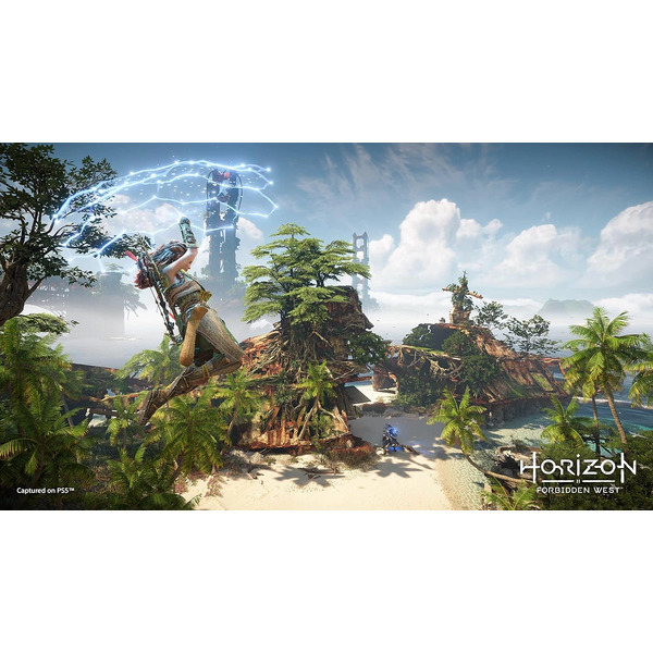 Игра Horizon: Запретный запад для PlayStation 5