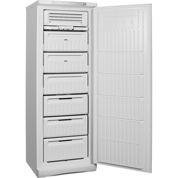 Морозильник INDESIT SFR167NFC