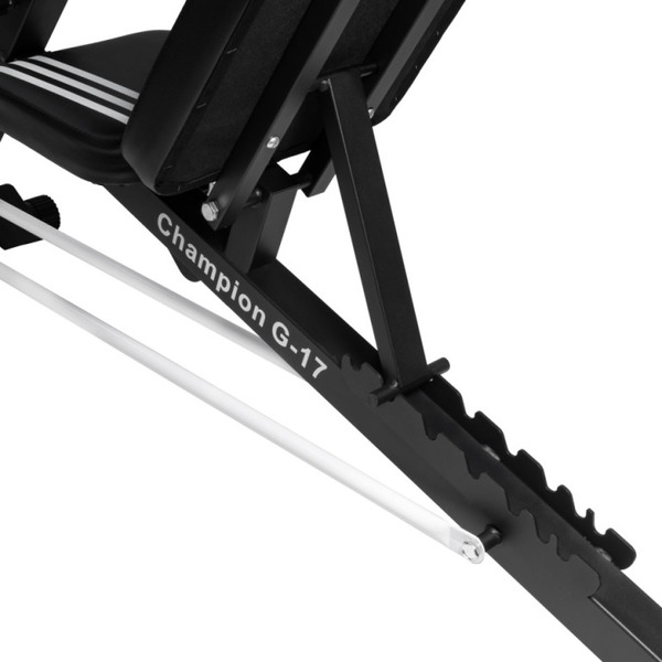 Скамья спортивная Alpin Champion G-17