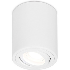 Точечный светильник Ambrella TN225