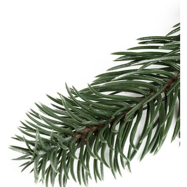 Еловый венок Neon-Night 307-144 (с шишками)