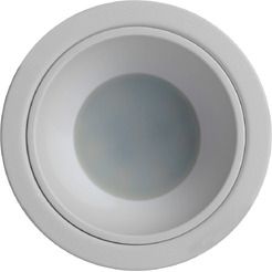 Светильник Feron DL3102 51398