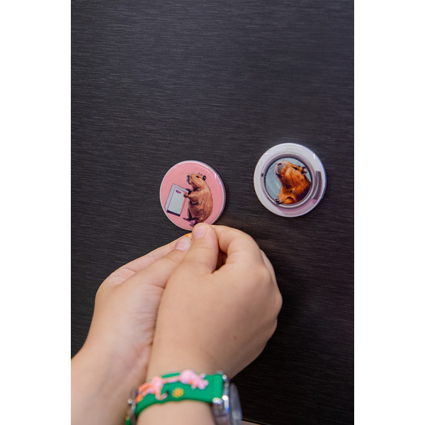 Набор сувенирных магнитов "Дай пять добру" Капибара (4 шт.)